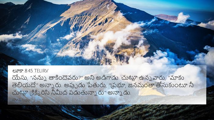 లూకా 8:45 TELIRV Bible Verse Image