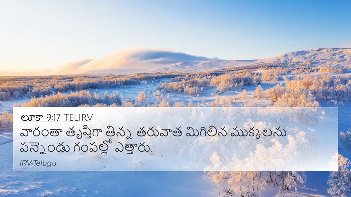 లూకా 9:17 TELIRV 4K Wallpaper - వారంతా తృప్తిగా - 4K Wallpaper Bible Verse