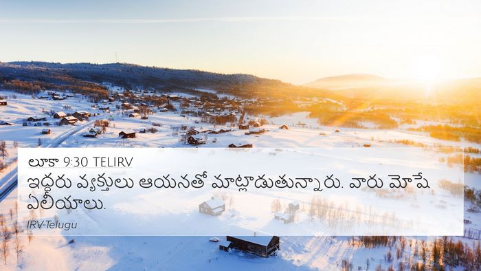 లూకా 9:30 TELIRV Bible Verse Image