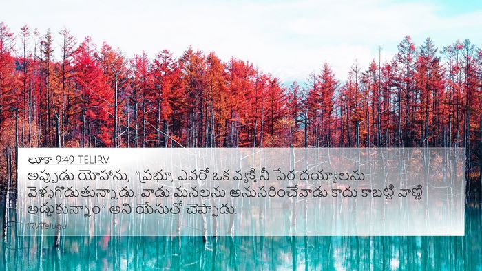 లూకా 9:49 TELIRV Bible Verse Image