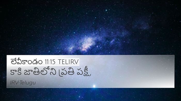 లేవీకాండం 11:15 TELIRV 4K Wallpaper - కాకి జాతిలోని - 4K Wallpaper Bible Verse