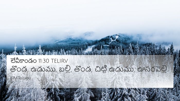 లేవీకాండం 11:30 TELIRV 4K Wallpaper - తొండ, ఉడుము, బల్లి, - 4K Wallpaper Bible Verse