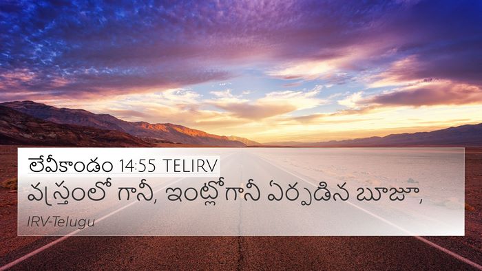 లేవీకాండం 14:55 TELIRV 4K Wallpaper - వస్త్రంలో గానీ, - 4K Wallpaper Bible Verse