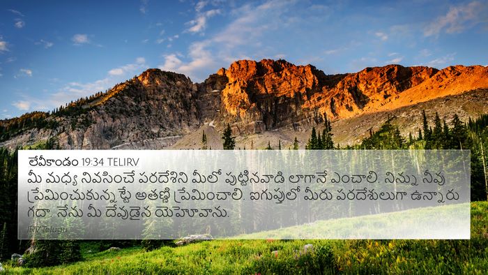 లేవీకాండం 19:34 TELIRV Bible Verse Image