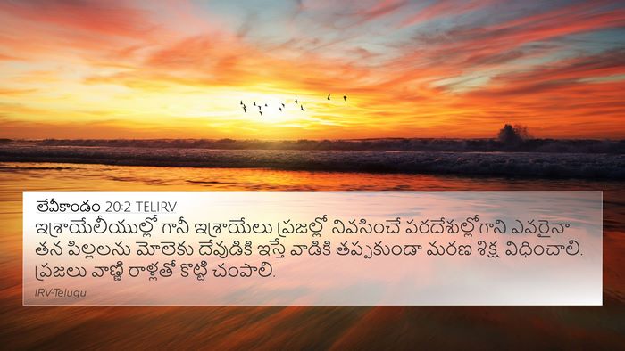 లేవీకాండం 20:2 TELIRV Bible Verse Image