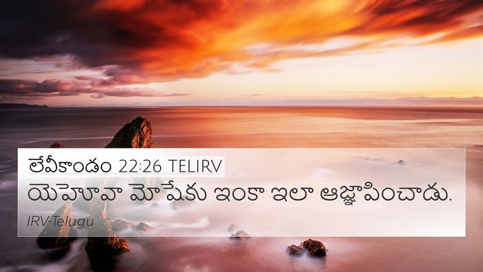 లేవీకాండం 22:26 TELIRV 4K Wallpaper - యెహోవా మోషేకు - 4K Wallpaper Bible Verse