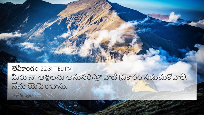 లేవీకాండం 22:31 TELIRV Bible Verse Image
