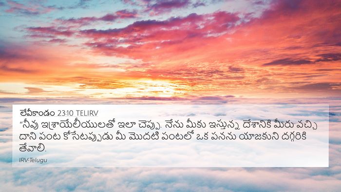 లేవీకాండం 23:10 TELIRV Bible Verse Image
