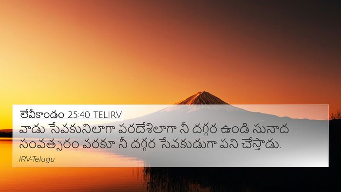 లేవీకాండం 25:40 TELIRV 4K Wallpaper - వాడు సేవకునిలాగా - 4K Wallpaper Bible Verse
