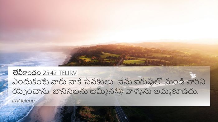 లేవీకాండం 25:42 TELIRV Bible Verse Image