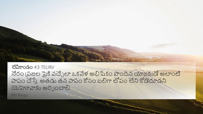 లేవీకాండం 4:3 TELIRV 4K Wallpaper - నేరం ప్రజల పైకి - 4K Wallpaper Bible Verse