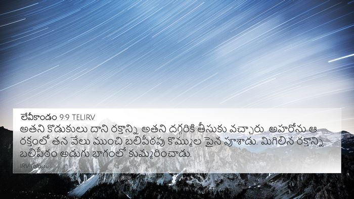 లేవీకాండం 9:9 TELIRV Bible Verse Image