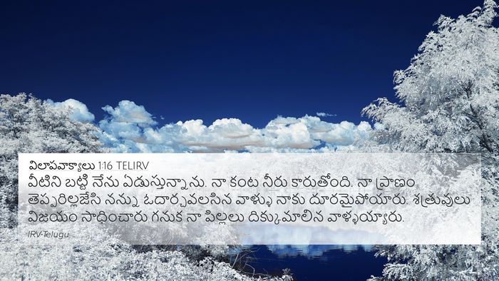 విలాపవాక్యాలు 1:16 TELIRV Bible Verse Image