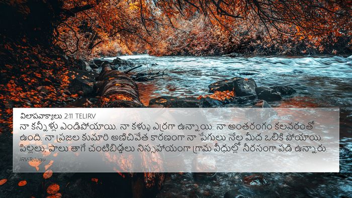 విలాపవాక్యాలు 2:11 TELIRV Bible Verse Image