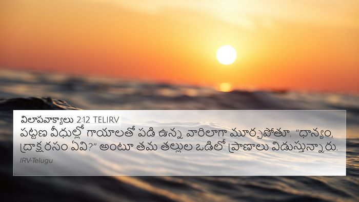 విలాపవాక్యాలు 2:12 TELIRV Bible Verse Image