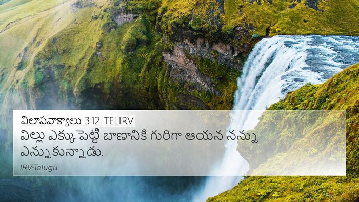 విలాపవాక్యాలు 3:12 TELIRV Bible Verse Image