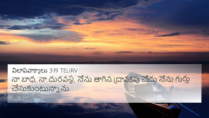 విలాపవాక్యాలు 3:19 TELIRV Bible Verse Image