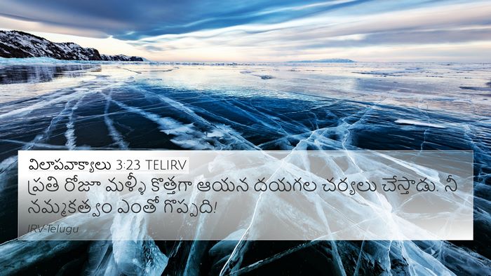 విలాపవాక్యాలు 3:23 TELIRV Bible Verse Image