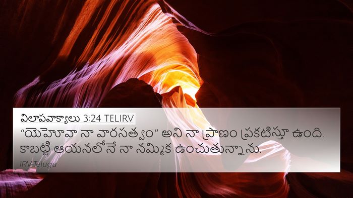 విలాపవాక్యాలు 3:24 TELIRV Bible Verse Image