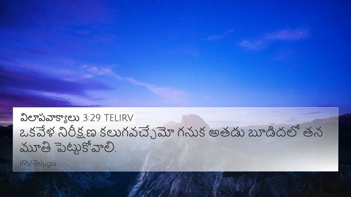 విలాపవాక్యాలు 3:29 TELIRV Bible Verse Image