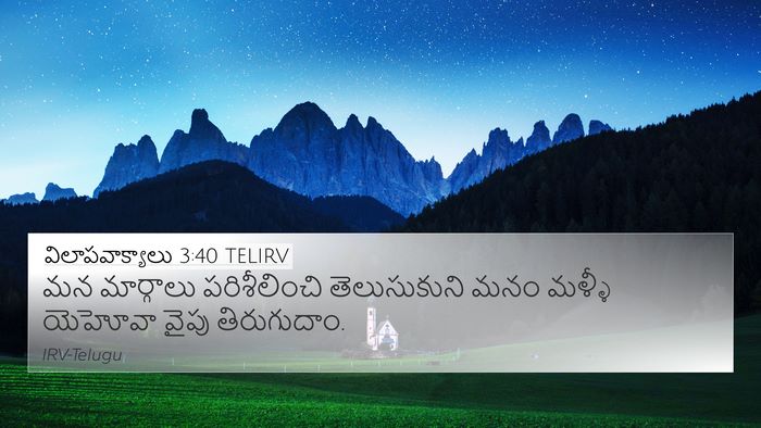 విలాపవాక్యాలు 3:40 TELIRV Bible Verse Image