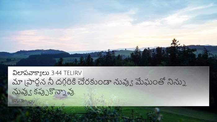 విలాపవాక్యాలు 3:44 TELIRV Bible Verse Image