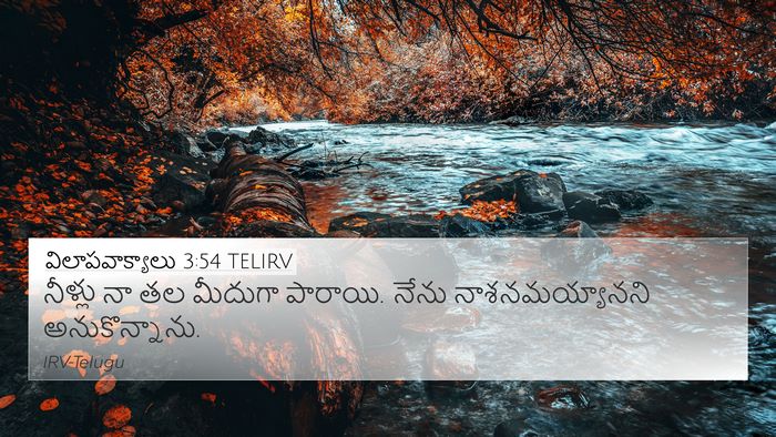 విలాపవాక్యాలు 3:54 TELIRV Bible Verse Image