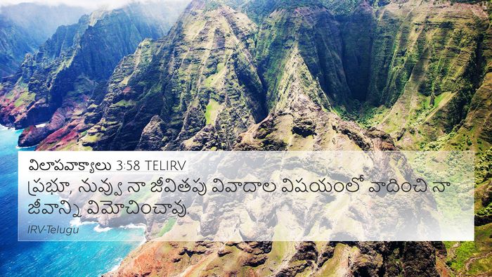 విలాపవాక్యాలు 3:58 TELIRV Bible Verse Image