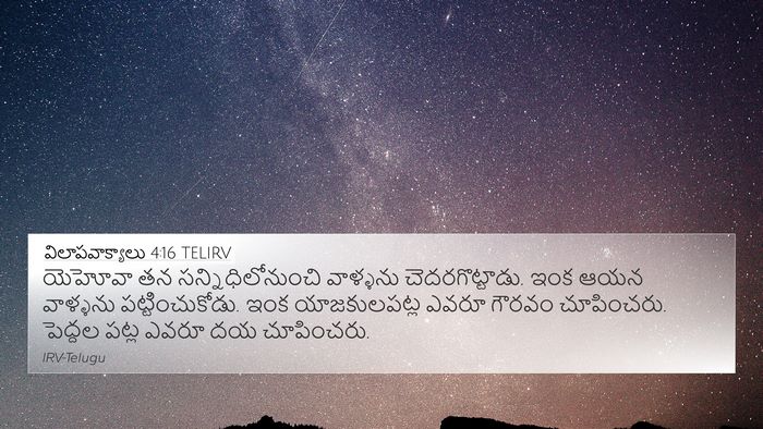 విలాపవాక్యాలు 4:16 TELIRV Bible Verse Image