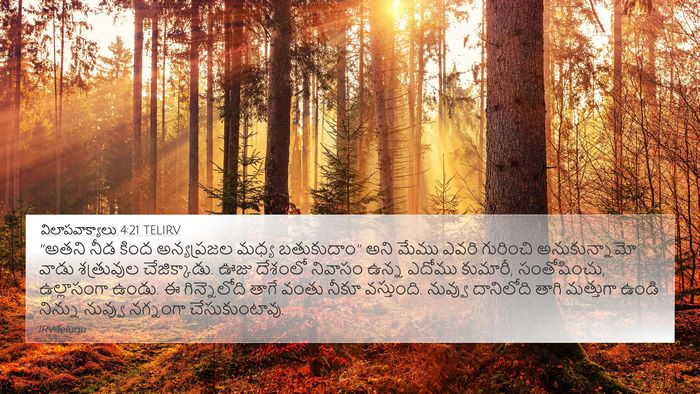 విలాపవాక్యాలు 4:21 TELIRV Bible Verse Image
