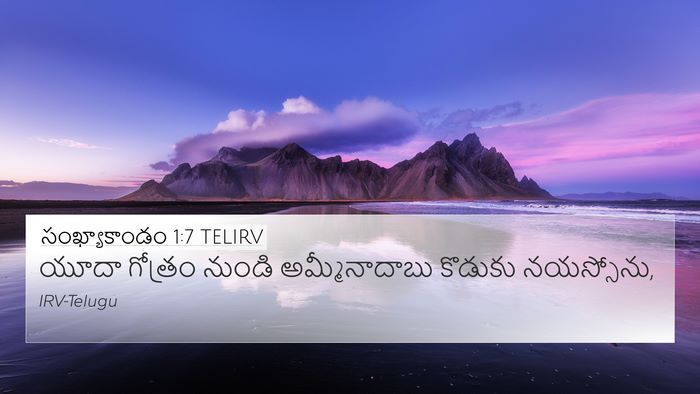 సంఖ్యాకాండం 1:7 TELIRV Bible Verse Image