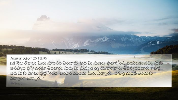 సంఖ్యాకాండం 11:20 TELIRV Bible Verse Image