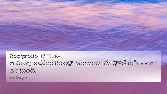 సంఖ్యాకాండం 11:7 TELIRV 4K Wallpaper - ఆ మన్నా కొత్తిమీర - 4K Wallpaper Bible Verse