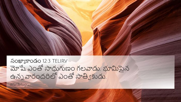 సంఖ్యాకాండం 12:3 TELIRV Bible Verse Image