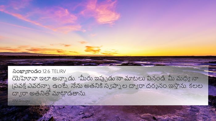 సంఖ్యాకాండం 12:6 TELIRV Bible Verse Image
