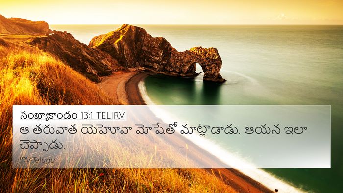 సంఖ్యాకాండం 13:1 TELIRV Bible Verse Image