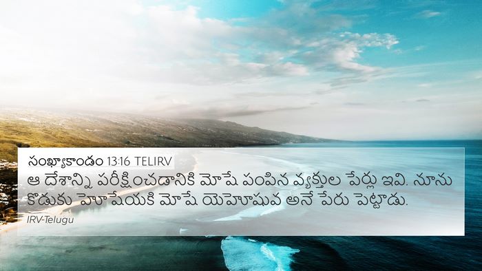 సంఖ్యాకాండం 13:16 TELIRV Bible Verse Image