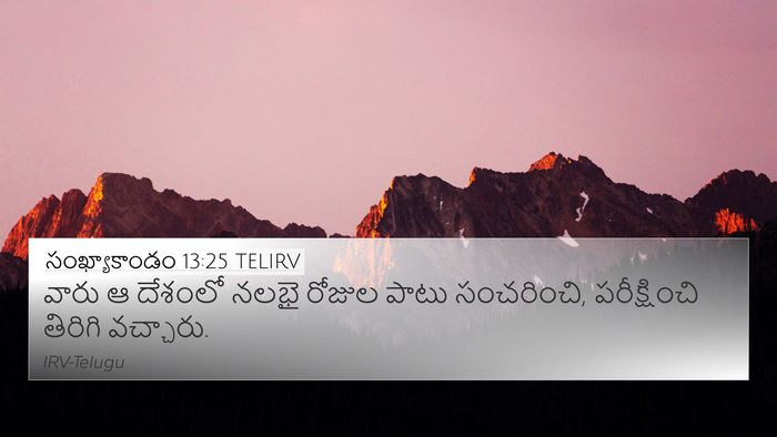 సంఖ్యాకాండం 13:25 TELIRV 4K Wallpaper - వారు ఆ దేశంలో నలభై - 4K Wallpaper Bible Verse