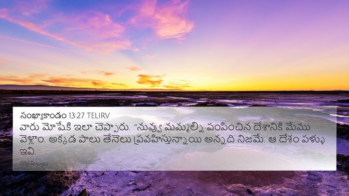 సంఖ్యాకాండం 13:27 TELIRV Bible Verse Image