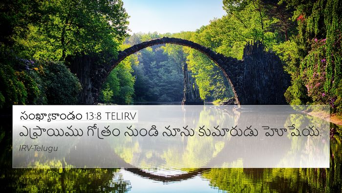 సంఖ్యాకాండం 13:8 TELIRV Bible Verse Image
