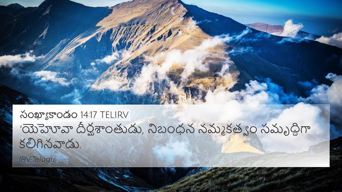 సంఖ్యాకాండం 14:17 TELIRV Bible Verse Image