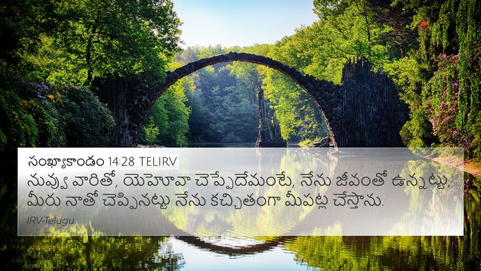 సంఖ్యాకాండం 14:28 TELIRV Bible Verse Image