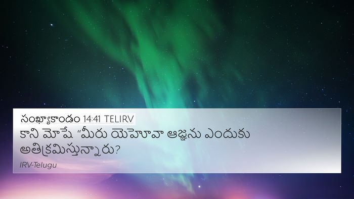 సంఖ్యాకాండం 14:41 TELIRV 4K Wallpaper - కాని మోషే “మీరు - 4K Wallpaper Bible Verse