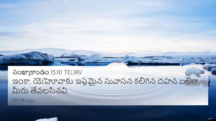 సంఖ్యాకాండం 15:10 TELIRV Bible Verse Image
