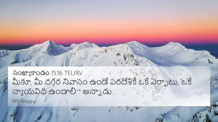 సంఖ్యాకాండం 15:16 TELIRV Bible Verse Image