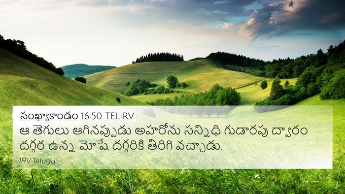 సంఖ్యాకాండం 16:50 TELIRV 4K Wallpaper - ఆ తెగులు - 4K Wallpaper Bible Verse