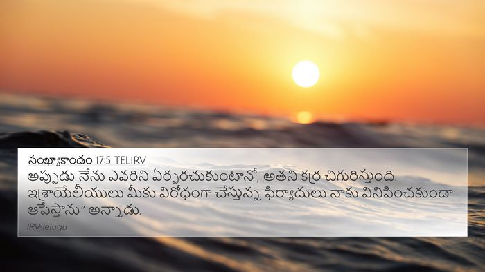 సంఖ్యాకాండం 17:5 TELIRV Bible Verse Image