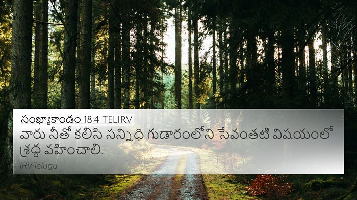 సంఖ్యాకాండం 18:4 TELIRV Bible Verse Image