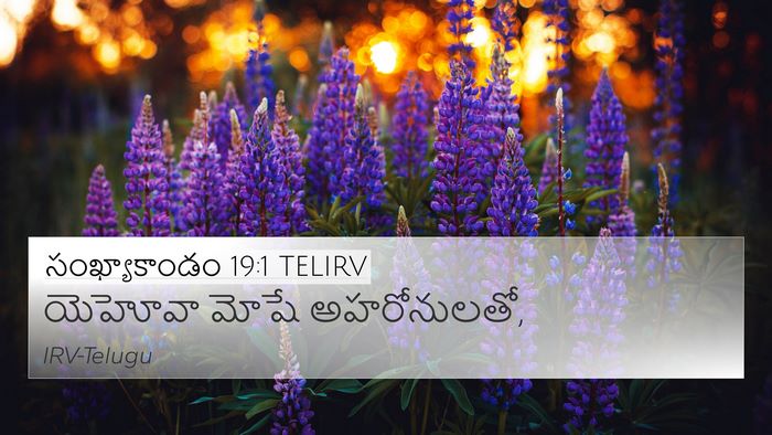 సంఖ్యాకాండం 19:1 TELIRV 4K Wallpaper - యెహోవా మోషే - 4K Wallpaper Bible Verse
