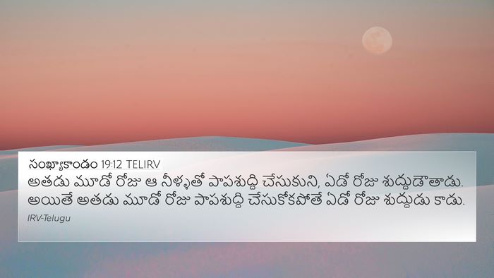 సంఖ్యాకాండం 19:12 TELIRV Bible Verse Image